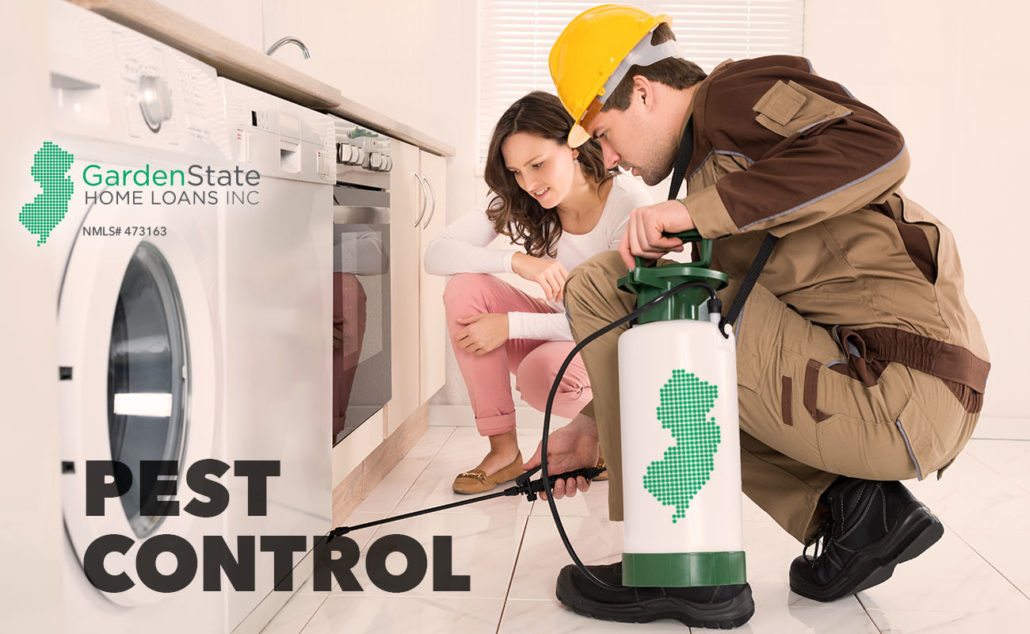 diy pest control