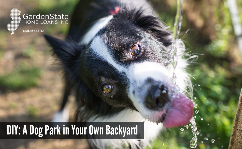 DIY dog park