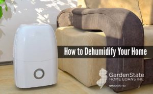 , How to Dehumidify Your Home