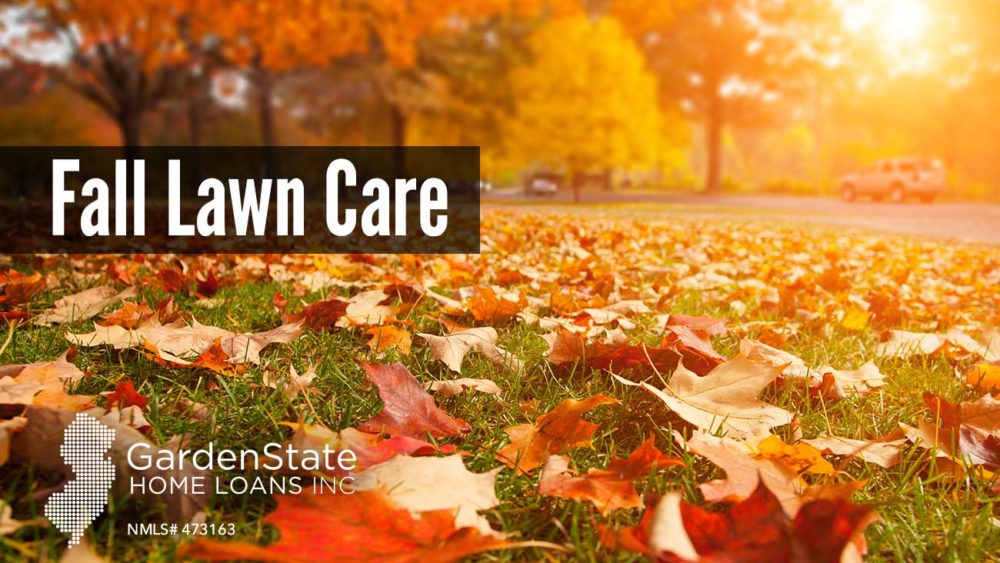 , Fall Lawn Care