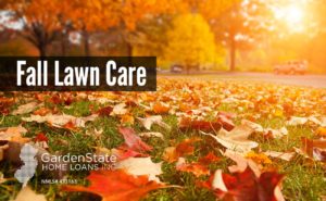 , Fall Lawn Care