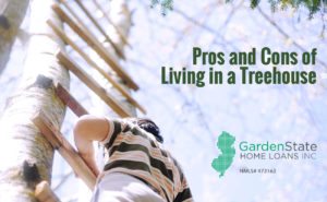 , Pros and Cons of Living in a Treehouse