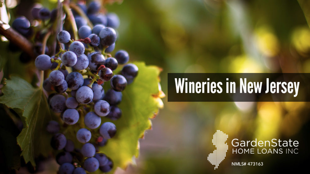Wineries in New Jersey, 7 Great Wineries in New Jersey