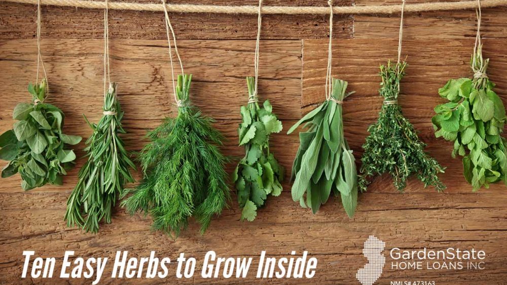 , Ten Easy Herbs to Grow Inside
