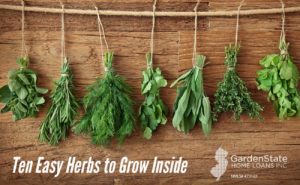 , Ten Easy Herbs to Grow Inside