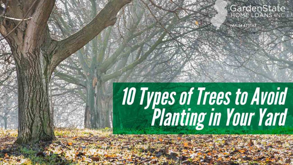 , 10 Types of Trees to Avoid Planting in Your Yard